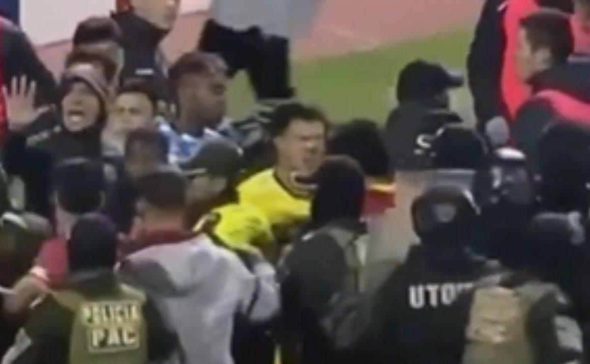 Maxi rissa e Polizia in campo: dopo la partita tutti in Tribunale | In arrivo la sanzione più dura di sempre