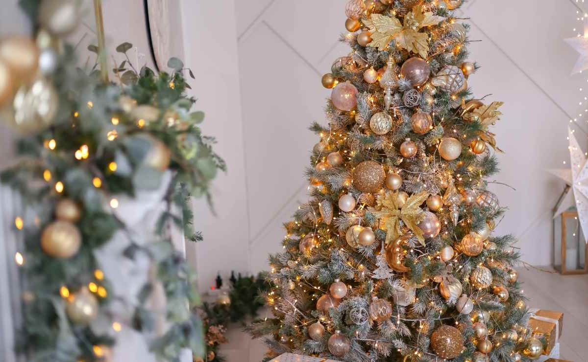 L’albero di Natale è stato “fatale” | Infortunio casalingo per il difensore: strappo muscolare e stop forzato